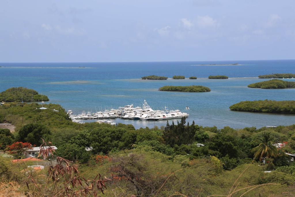 Parador Turtle Bay Inn Ла-Паргера Экстерьер фото